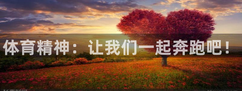 77体育官网：体育精神：让我们一起奔跑吧！
