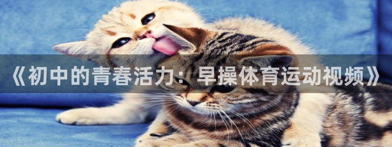 77体育app下载官网：《初中的青春活力：早操体育运动视频》