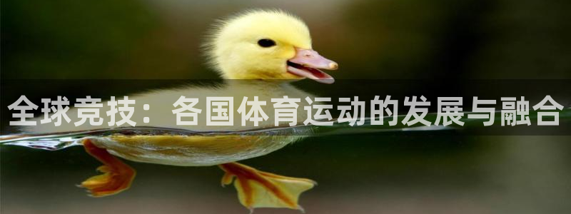 皇冠277体育：全球竞技：各国体育运动的发展与融合