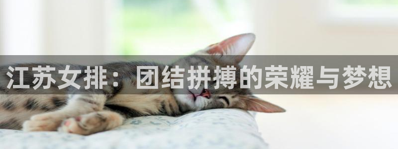 77体育官网：江苏女排：团结拼搏的荣耀与梦想