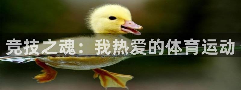 皇冠277体育：竞技之魂：我热爱的体育运动