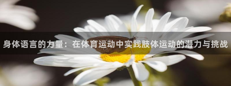 77体育官网：身体语言的力量：在体育运动中实践肢体运动的潜力与挑战
