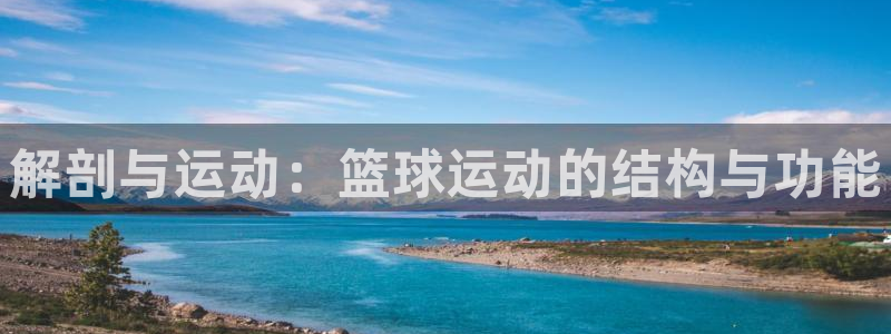 77体育官网：解剖与运动：篮球运动的结构与功能