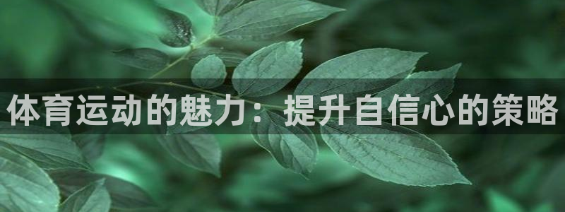 77体育官网：体育运动的魅力：提升自信心的策略