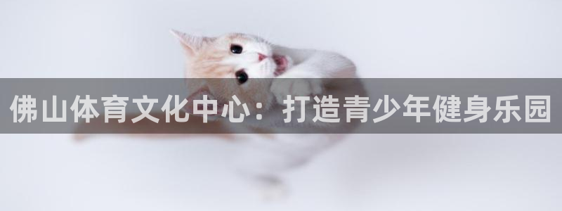 77体育app下载官网：佛山体育文化中心：打造青少年健身乐园