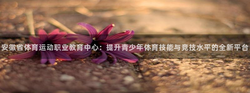 77体育app下载官网：安徽省体育运动职业教育中心：提升青少年体育技能与竞技水平的全新平台