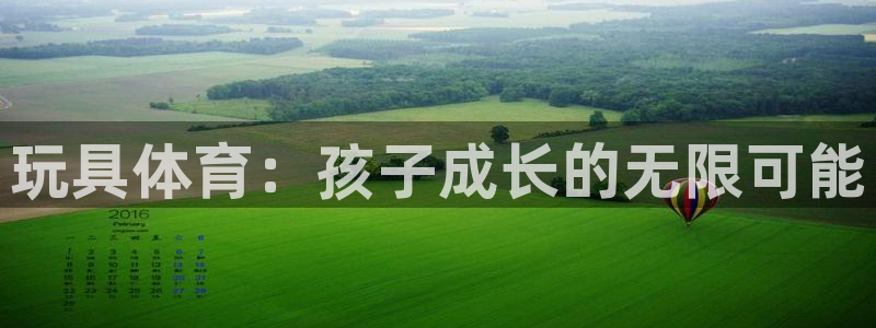 皇冠277体育：玩具体育：孩子成长的无限可能