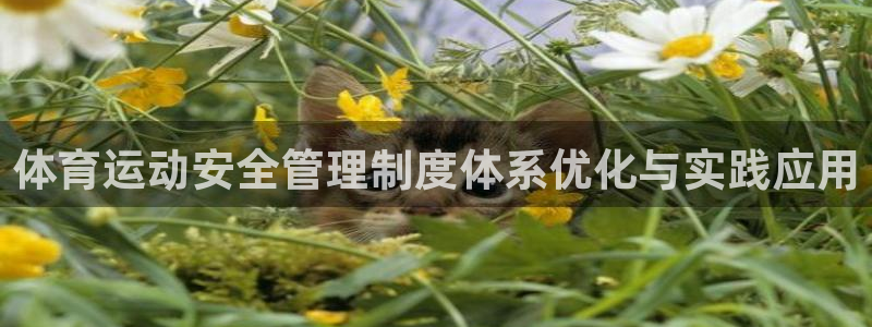 77体育官网：体育运动安全管理制度体系优化与实践应用