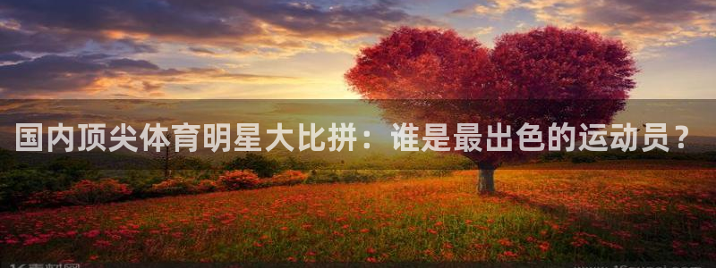 77体育：国内顶尖体育明星大比拼：谁是最出色的运动员？
